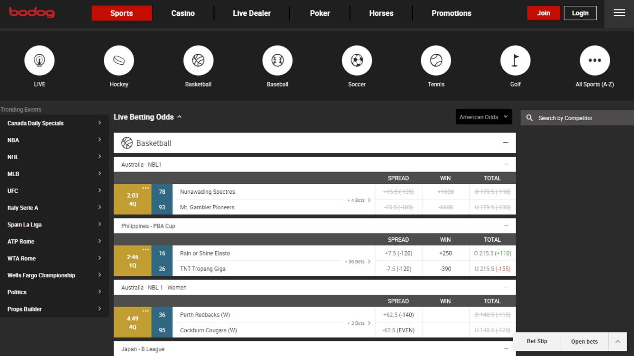 Bodog sport betting
